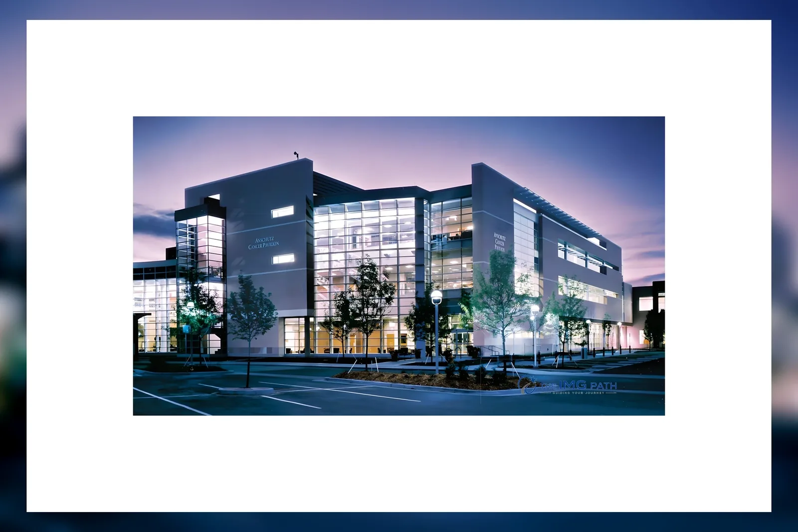 Vasile Goldis Western University Faculty of Medicine Pharmacy and Dentistry campus, Arad, Romania